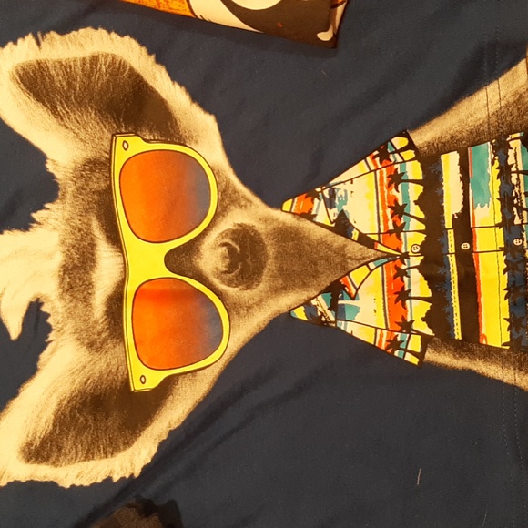 Bundle Boys 4T Shirts - Picture 3 of 5